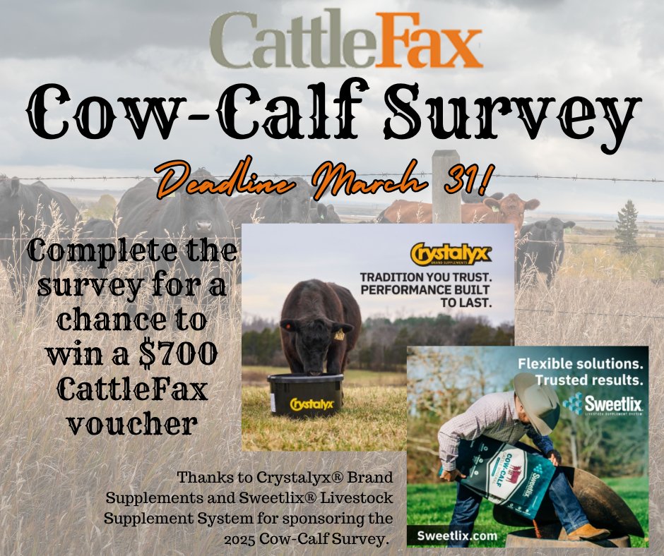 cattlefax's tweet photo. Please take a few minutes to complete and help provide valuable insights for both your operation and the entire industry.  Closes 3/31, 2026. All responses are confidential and anonymous. https://t.co/7dxNo6S2UQ https://t.co/aR9ikFI1cE