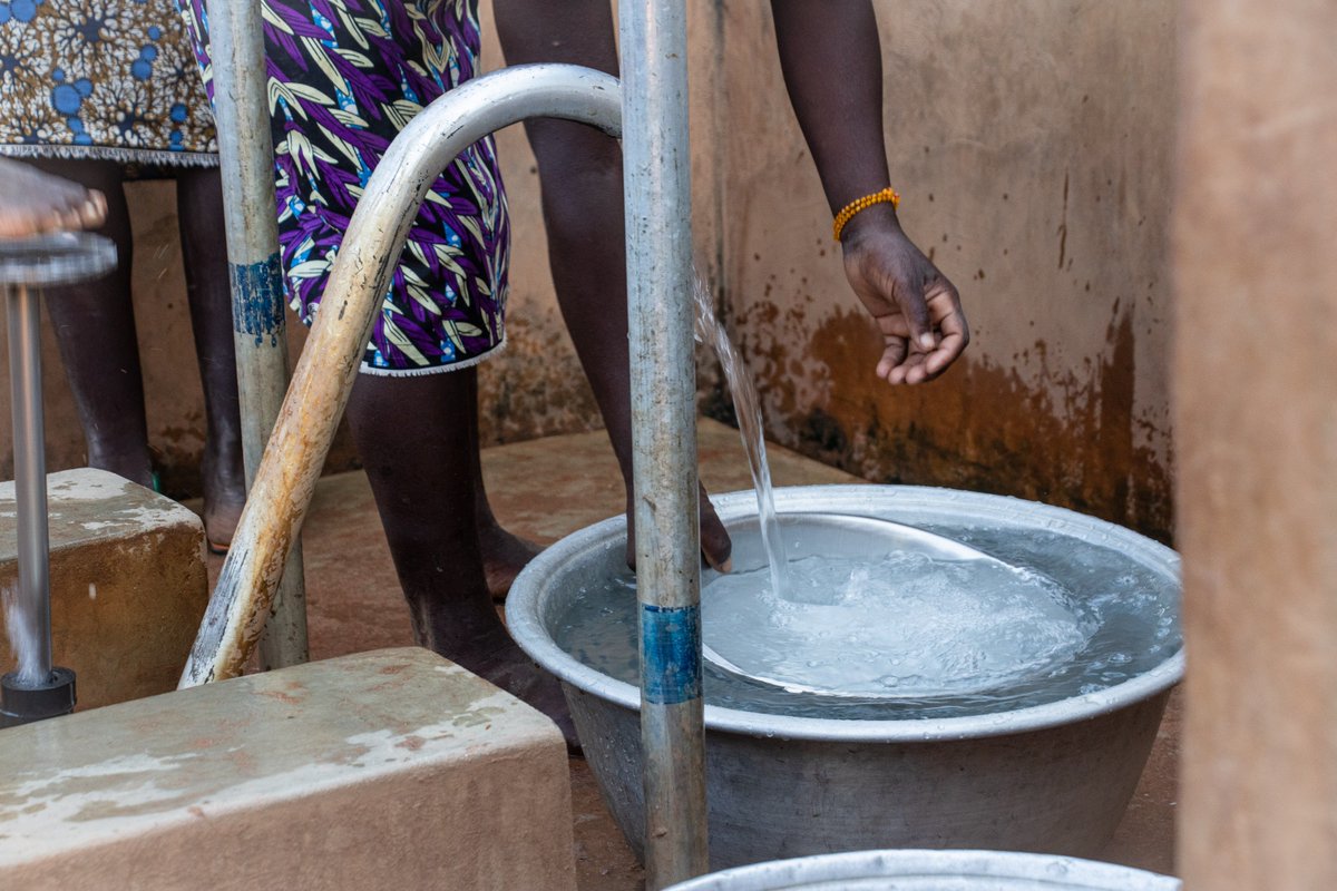 African Parks tweet media