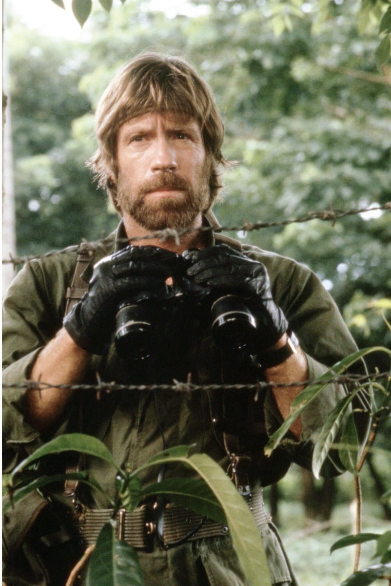timelesscultr's tweet photo. Rest in peace, Chuck Norris. 🕊️ https://t.co/Evmn43SLGc