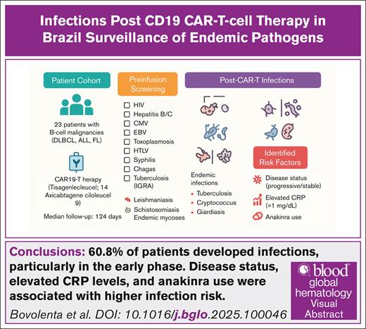 Blood Journals Portfolio tweet media