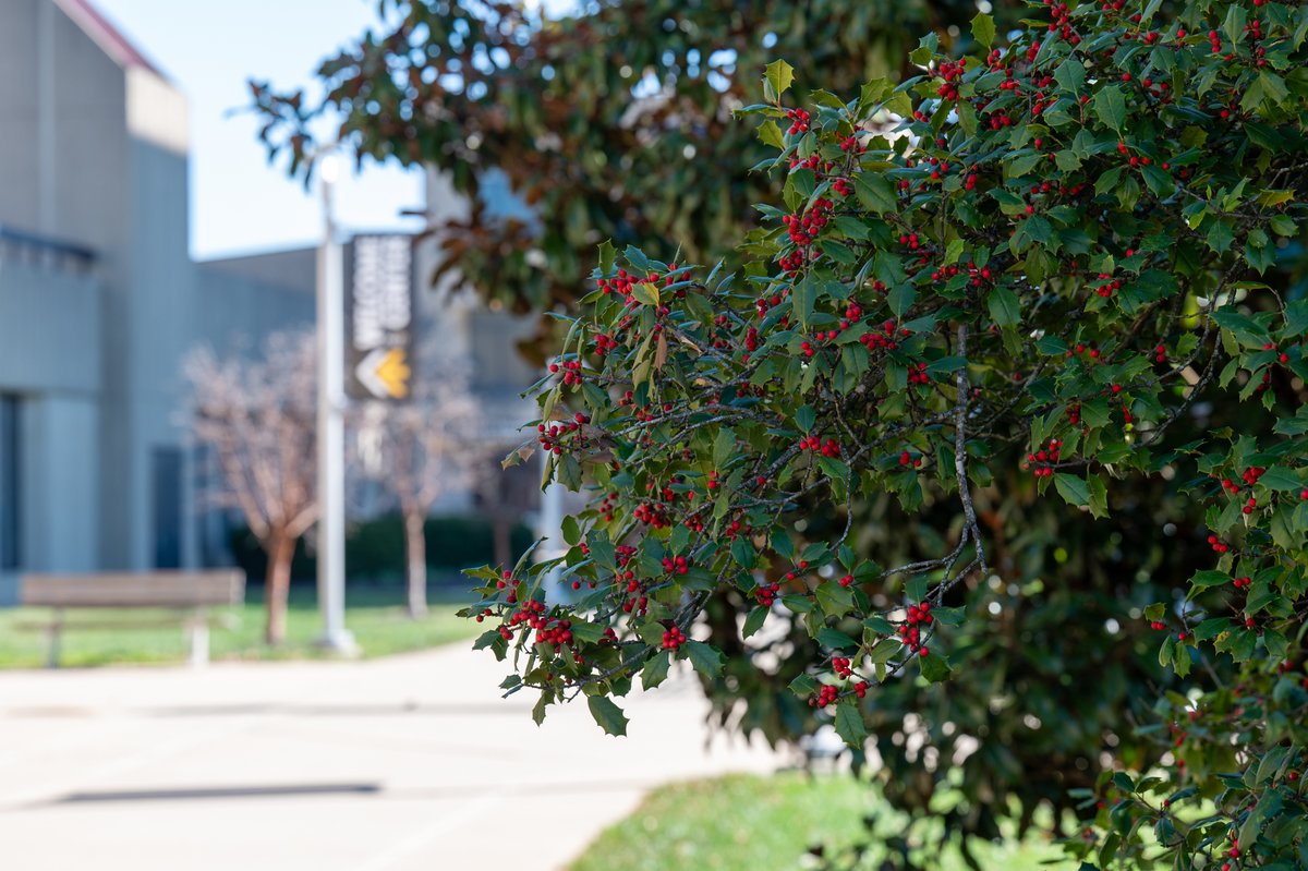 Northern Kentucky University tweet media