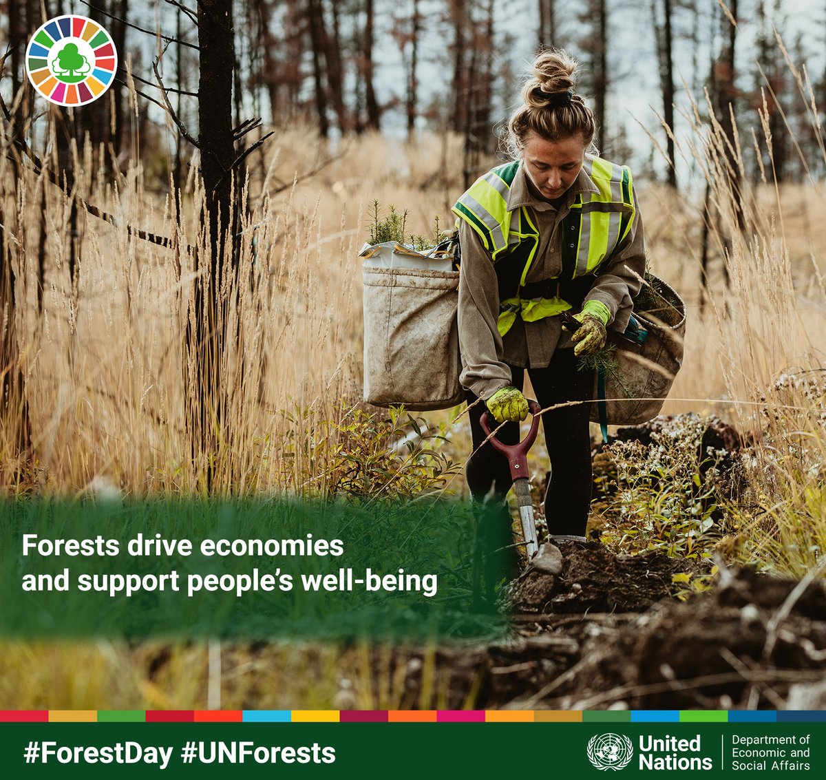 Global Environment Facility (GEF) tweet media