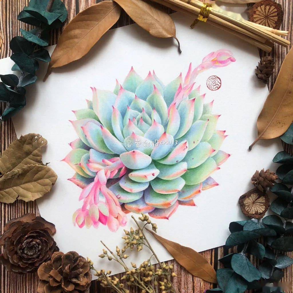 ana pastore tweet media