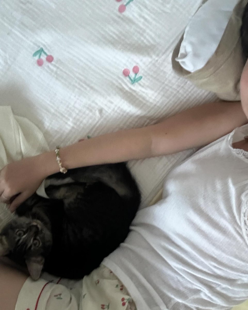 Success Codes tweet media