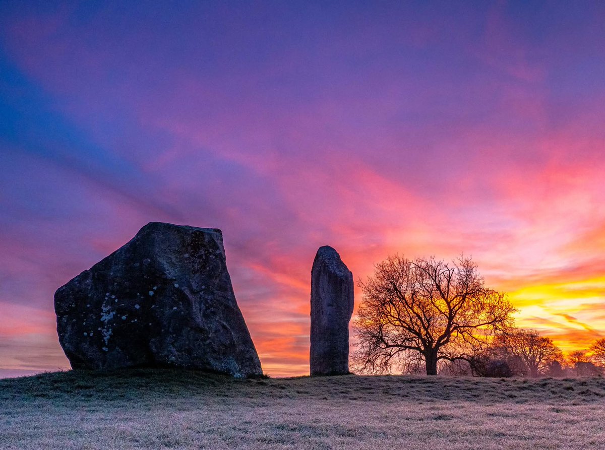 Dr Peach's Stone Temple Gardening. tweet media