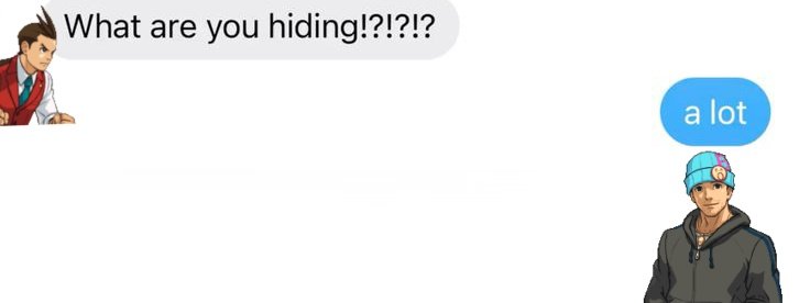 phoenixwrong tweet media