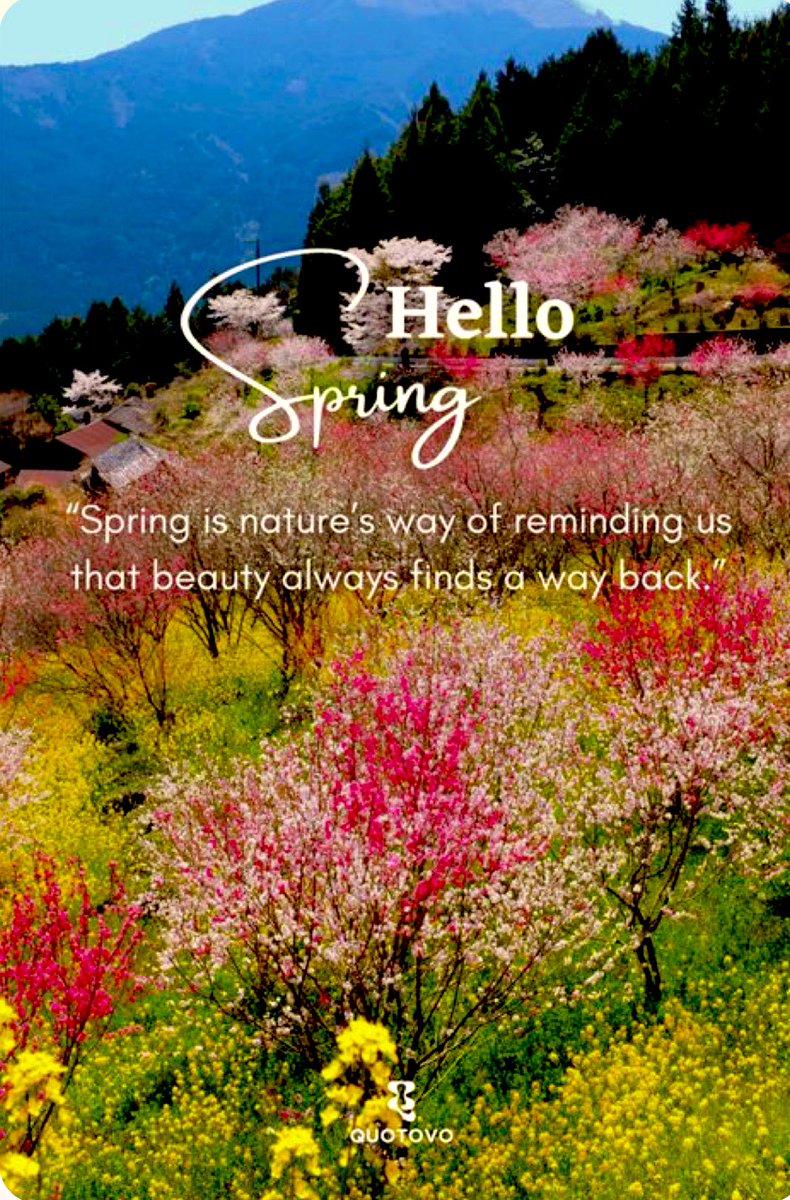 (Jen) 🟧 💙🗽🌊 tweet media