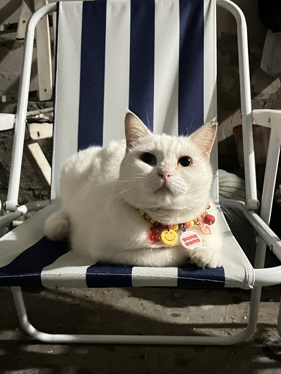 yongyong dkk 🧌 tweet media