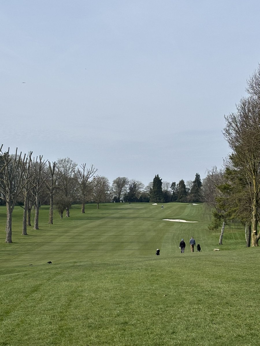 Rob Groves tweet media