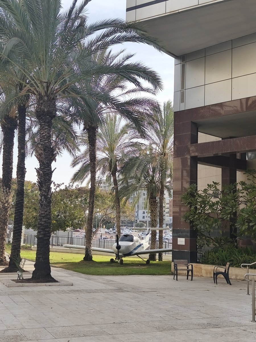 фанерное солнце улыбается до конца (в Израиле) tweet media