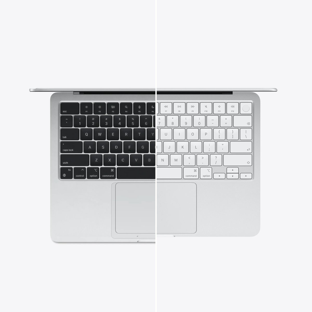 Basic Apple Guy tweet media