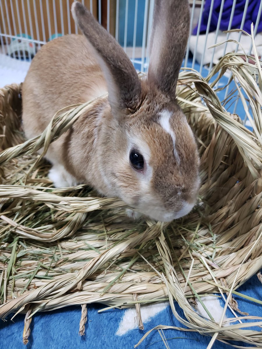 ６年前の柚ﾁｬﾝ。
解体中です🤭❤️