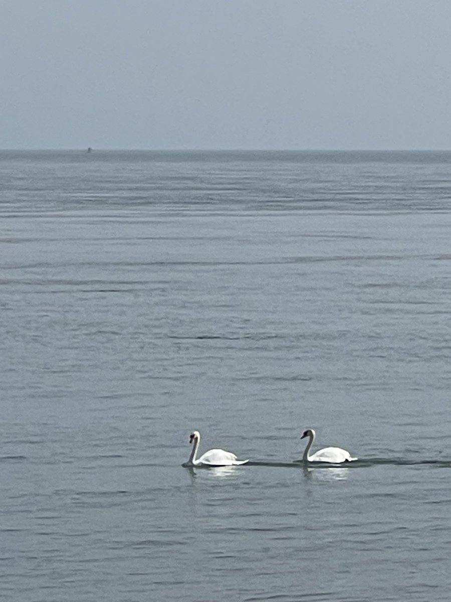 Jennifer Griffin tweet media