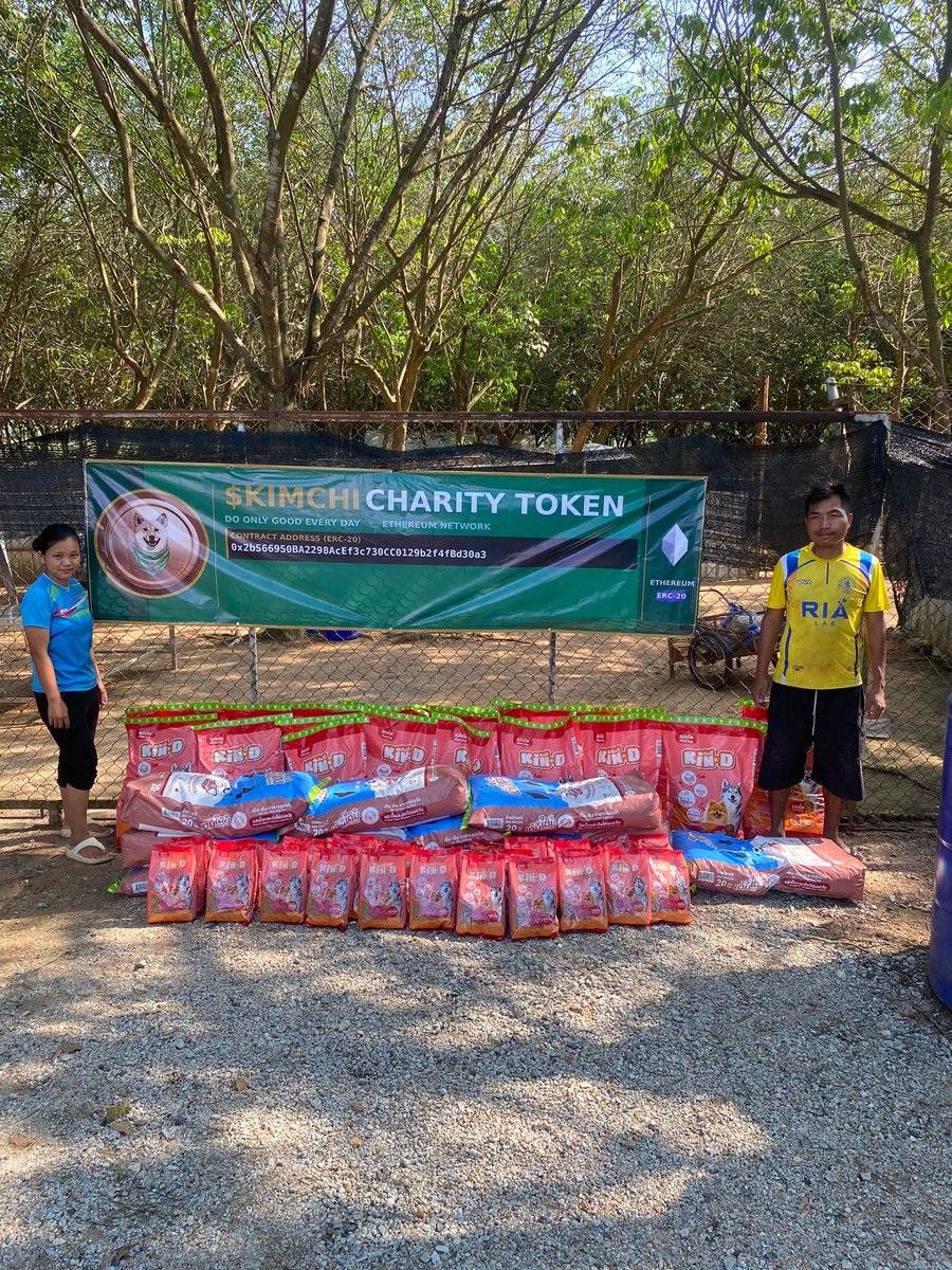 Robotic 💛🐶 tweet media