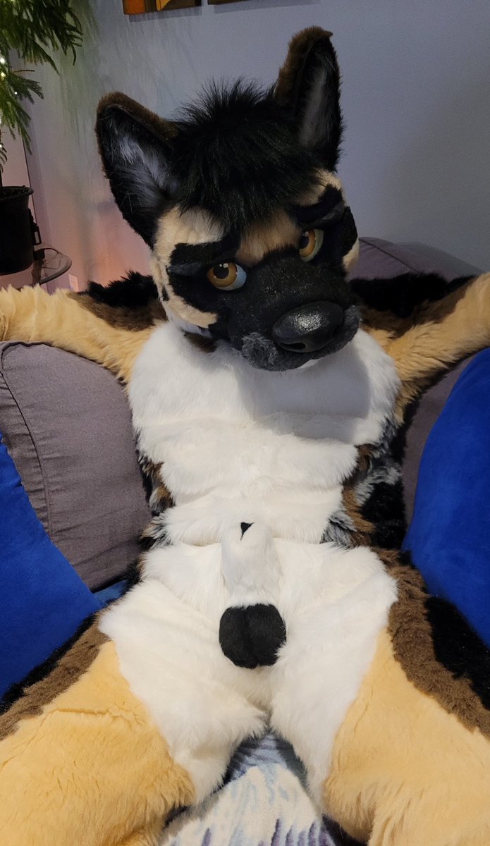 Nitro Sheef 🔞🔜 𝗙𝗪𝗔 tweet media