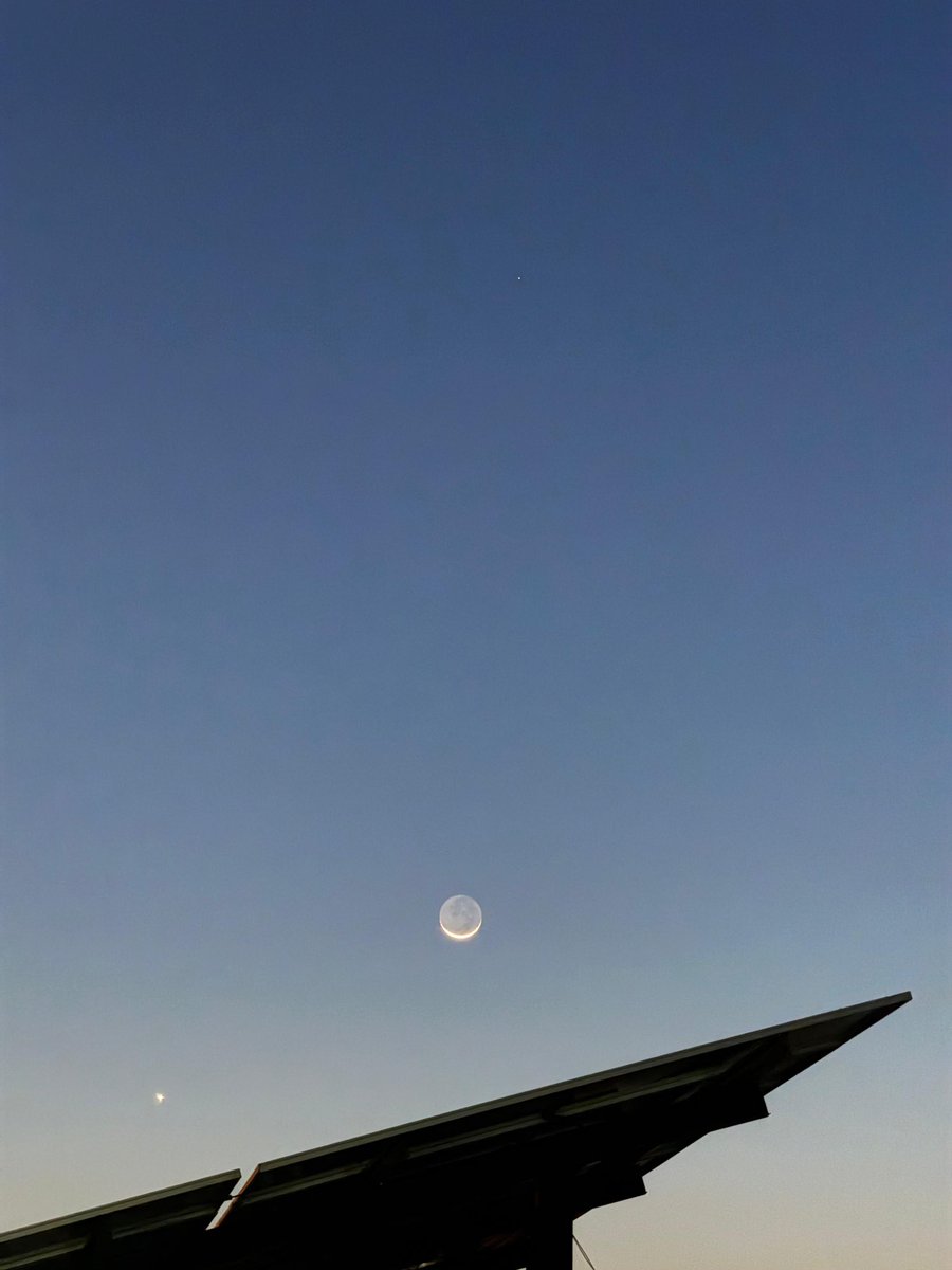 MG 🏳️ tweet media