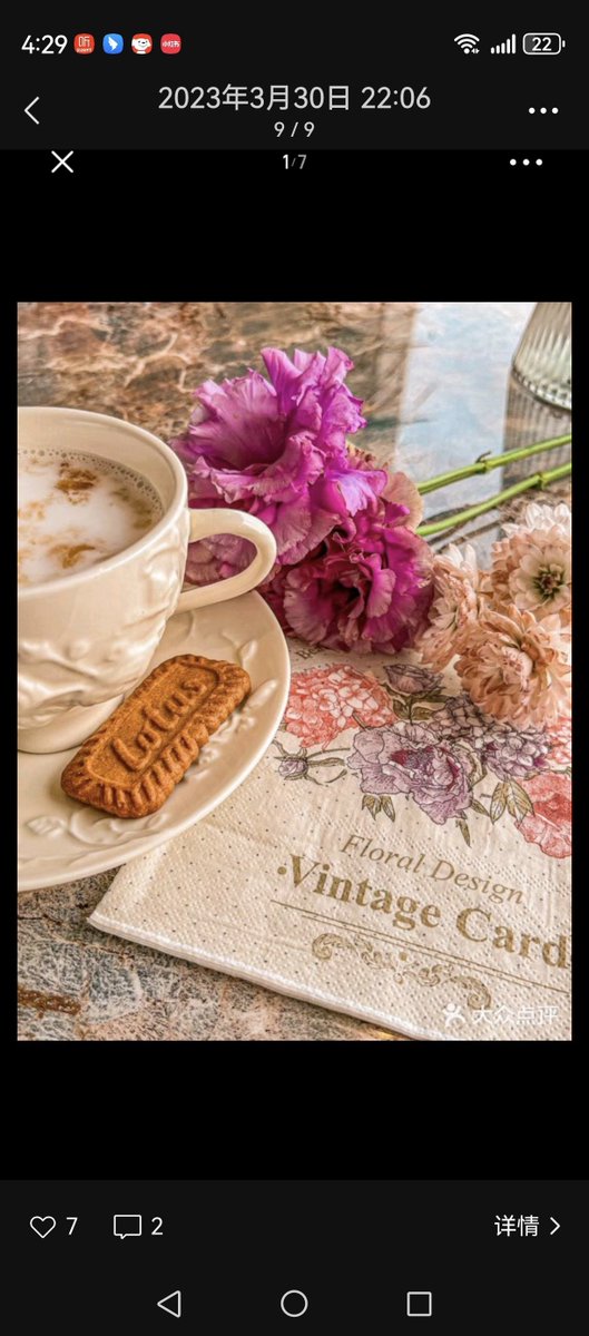 Dolores Tottoroto tweet media