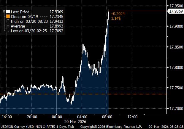 Gabriela Siller Pagaza tweet media