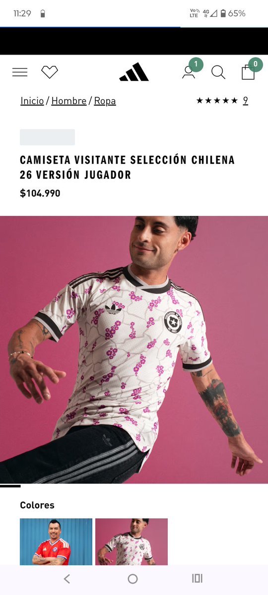 José del Solar tweet media