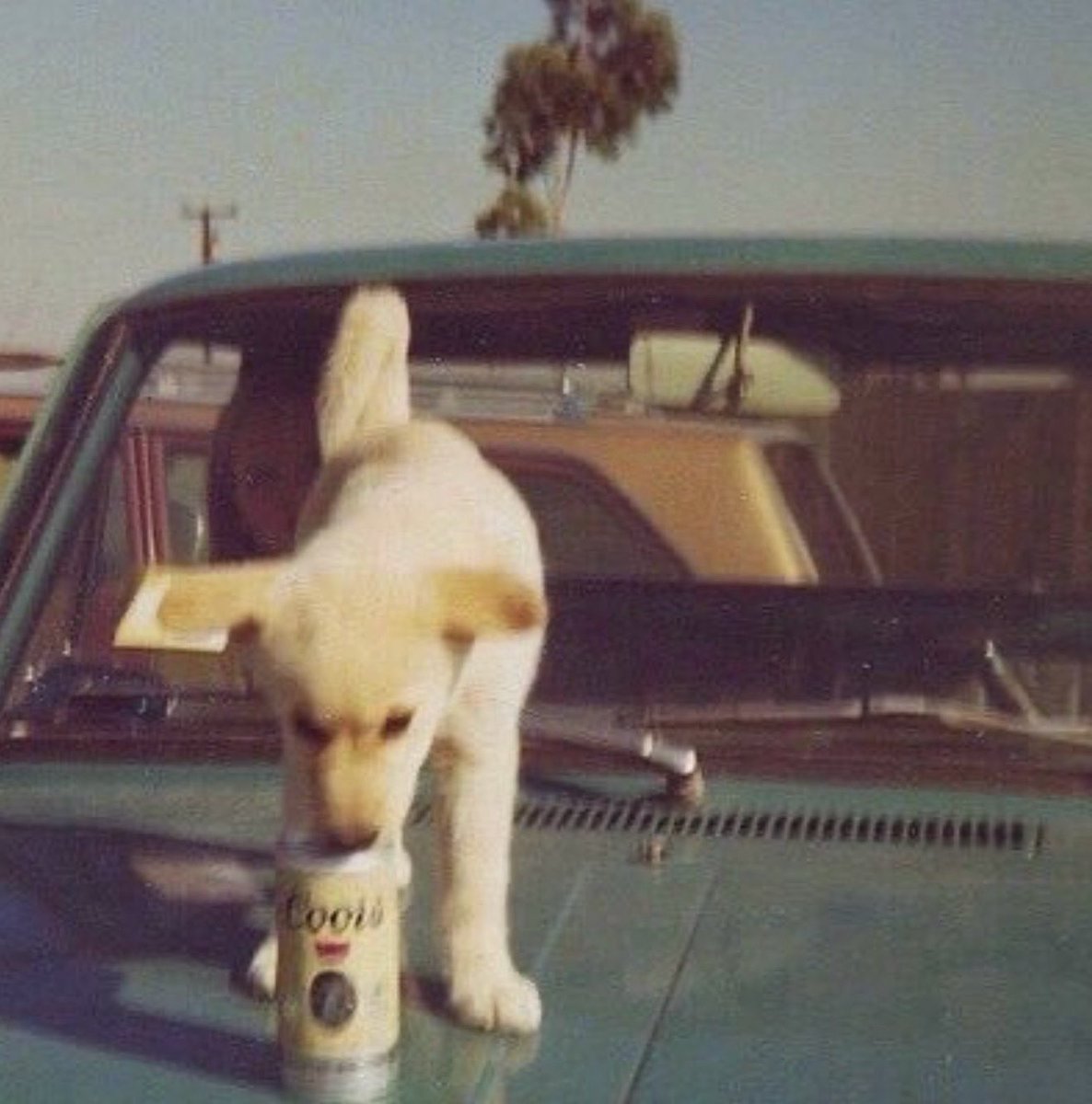 CountryChord's tweet photo. happy first day of spring 🍻 https://t.co/2WcYJuiZVo