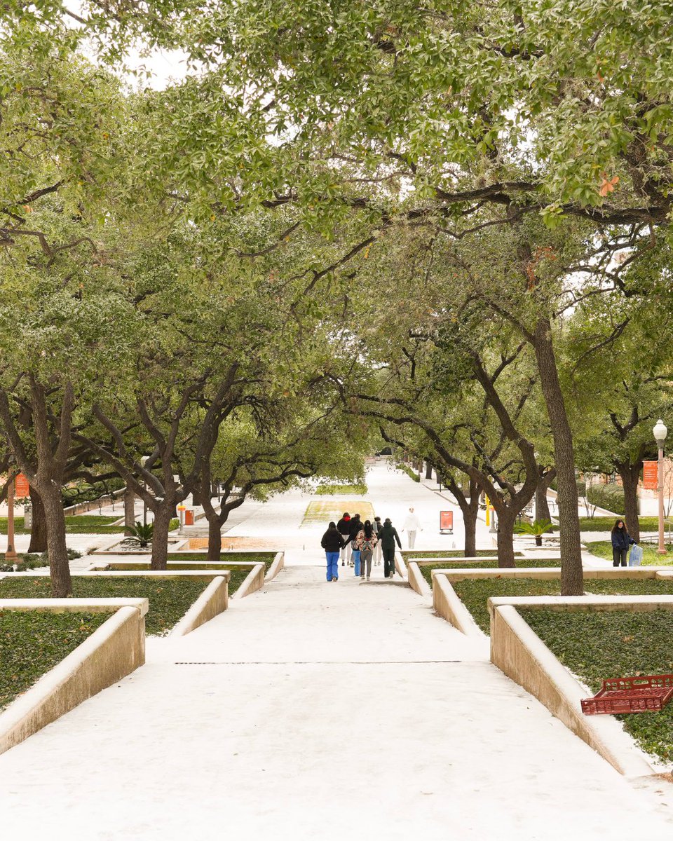 UT Austin tweet media