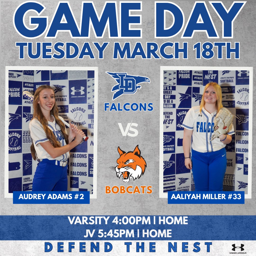 Lower Dauphin Softball tweet media