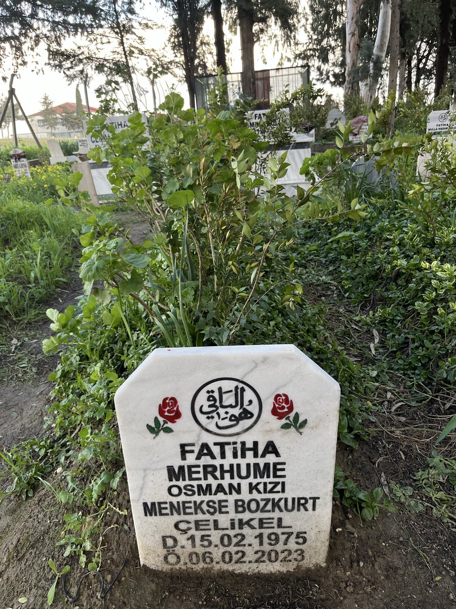 F.C.🇹🇷 tweet media