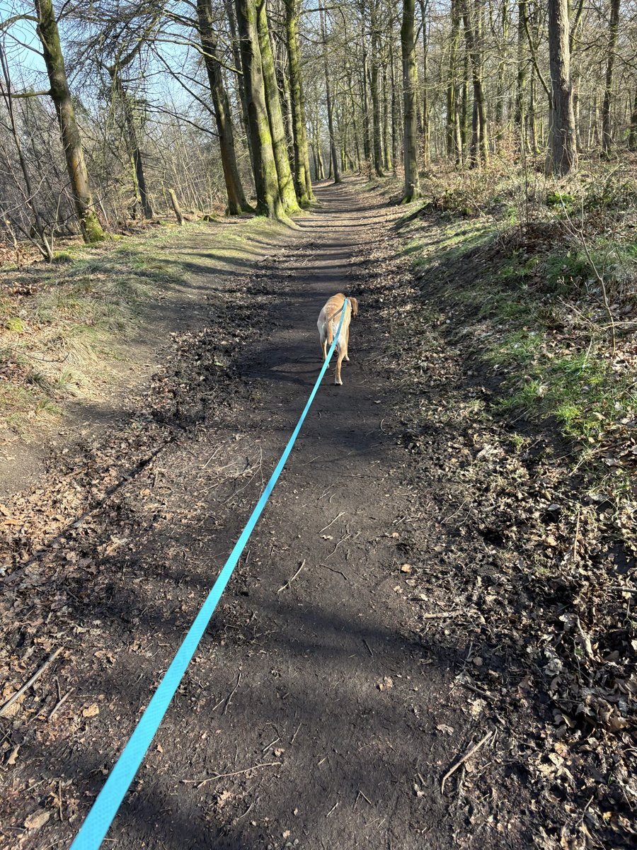 ACGT Groundswork tweet media