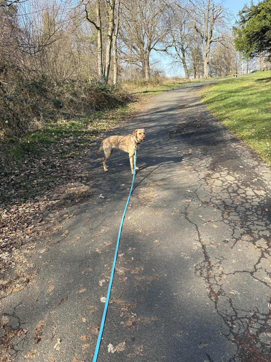 ACGT Groundswork tweet media