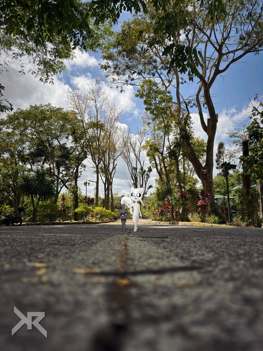 Rekku (レック) tweet media