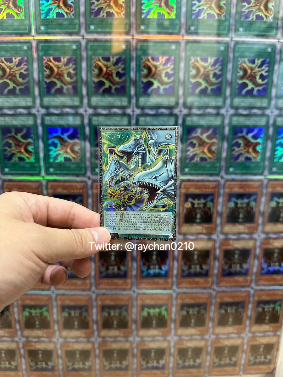 Ray Chan@香港遊戯王コレクター tweet media