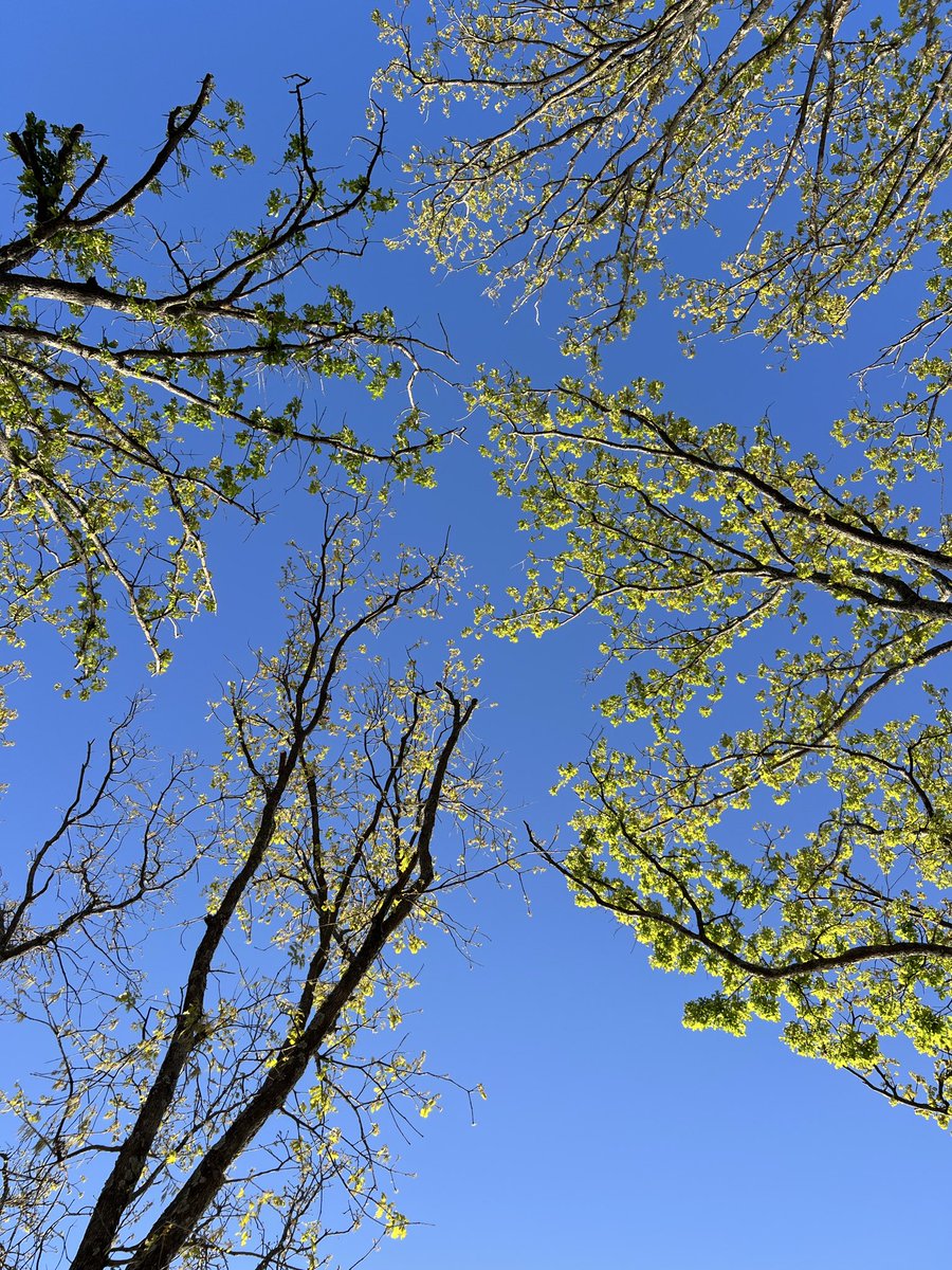 Robert Katzenberger tweet media