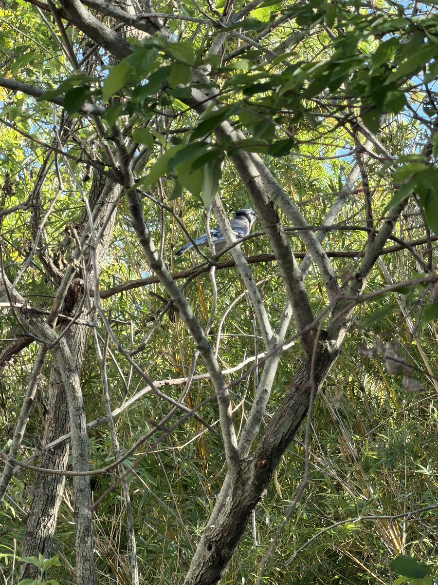 𝓛𝓾𝓬 tweet media