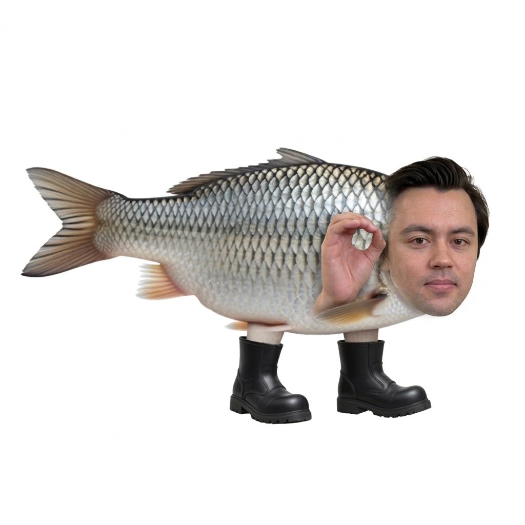 Funbee 🐳 tweet media