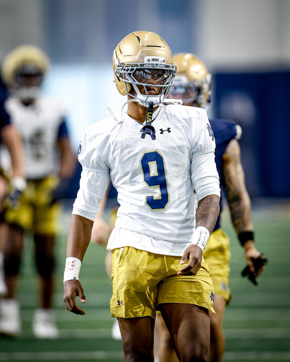 Matt Freeman tweet media