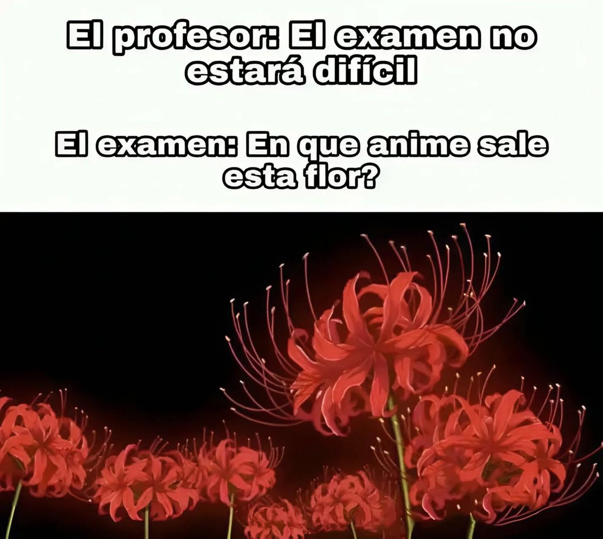 Rincón Curioso tweet media