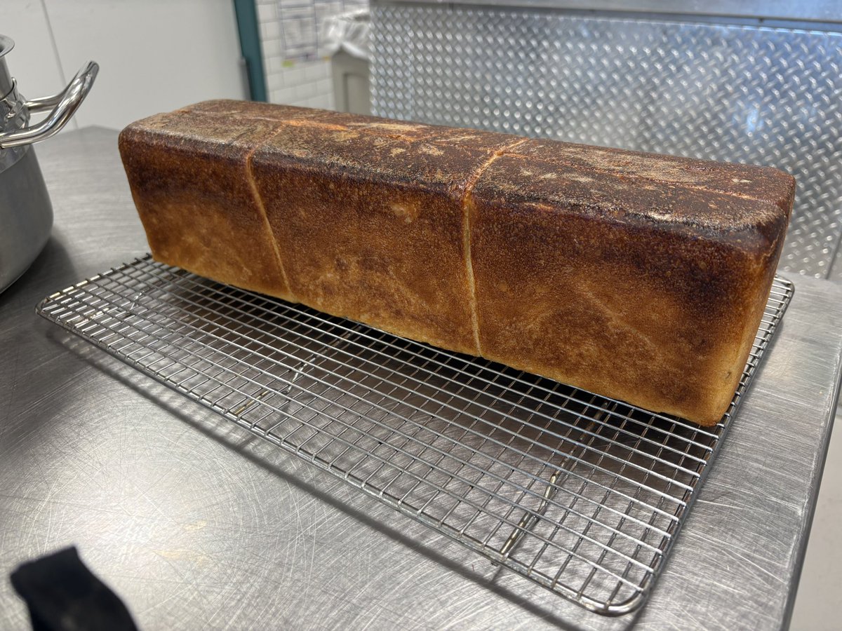 sexczema tweet media