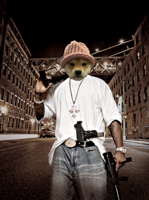 Boho 🌊 tweet media