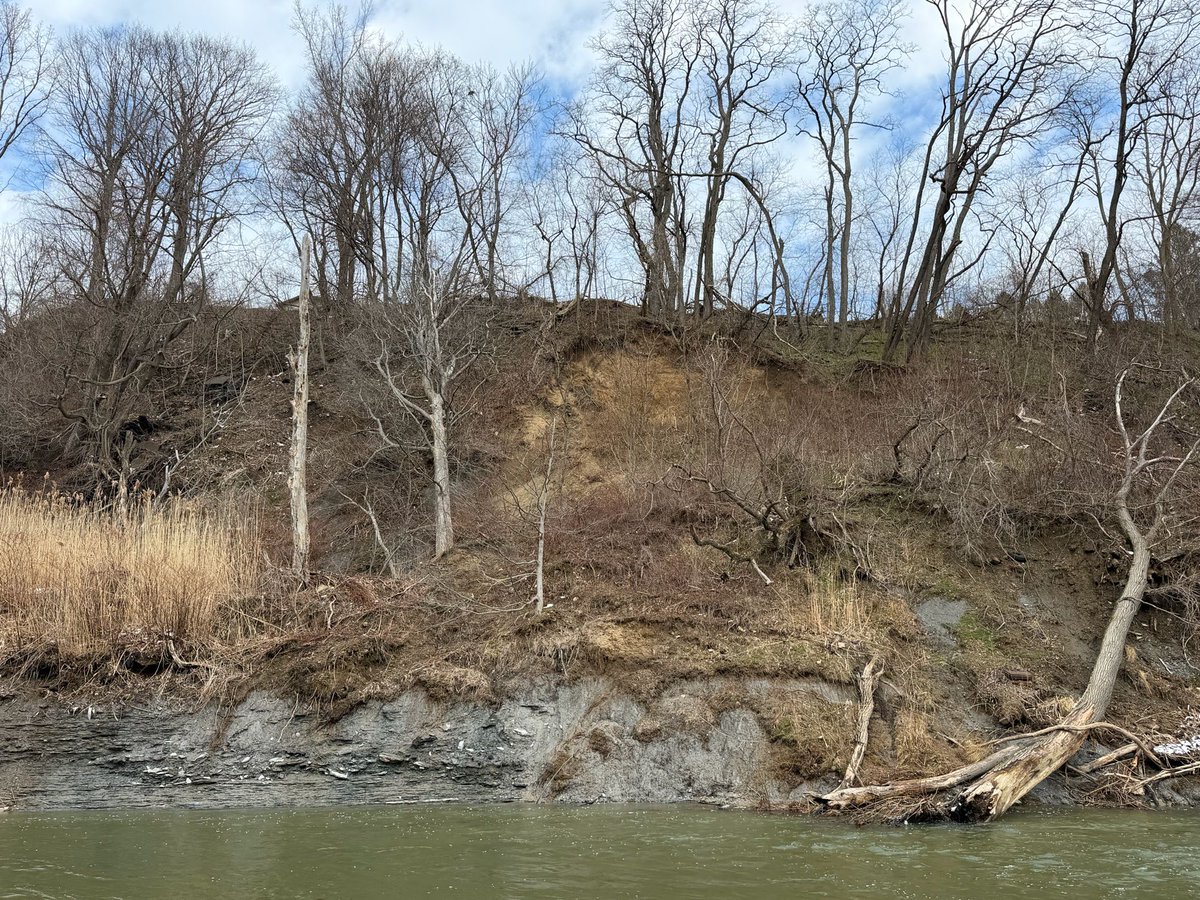 Senator Dan Laughlin tweet media