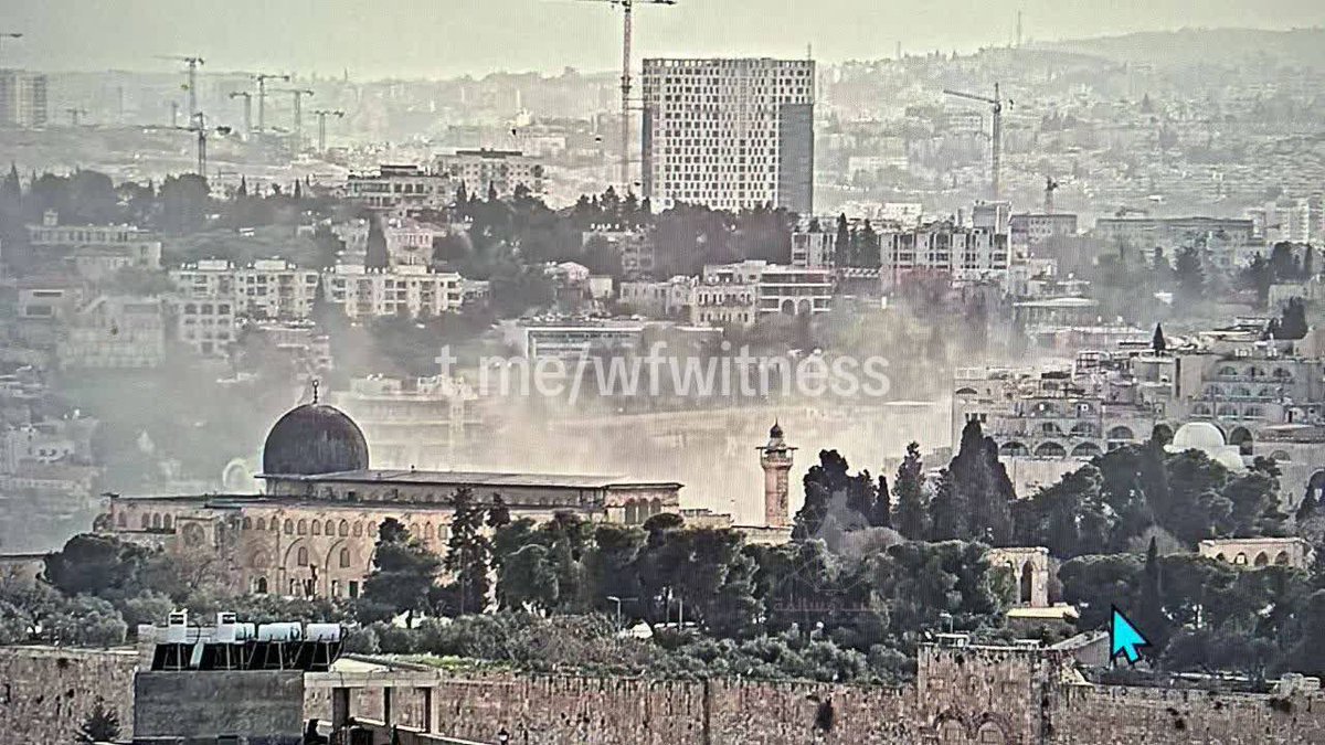 Sharon Moore tweet media