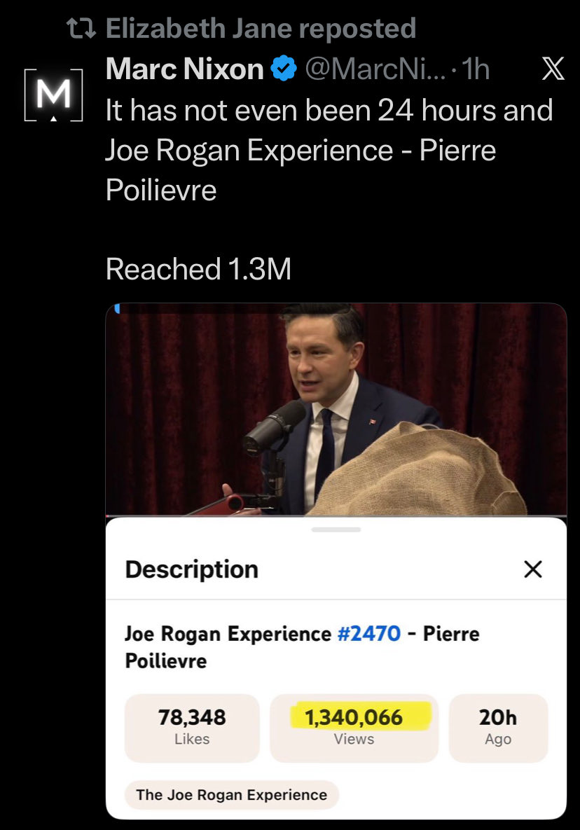 Nobody's Handmaid tweet media