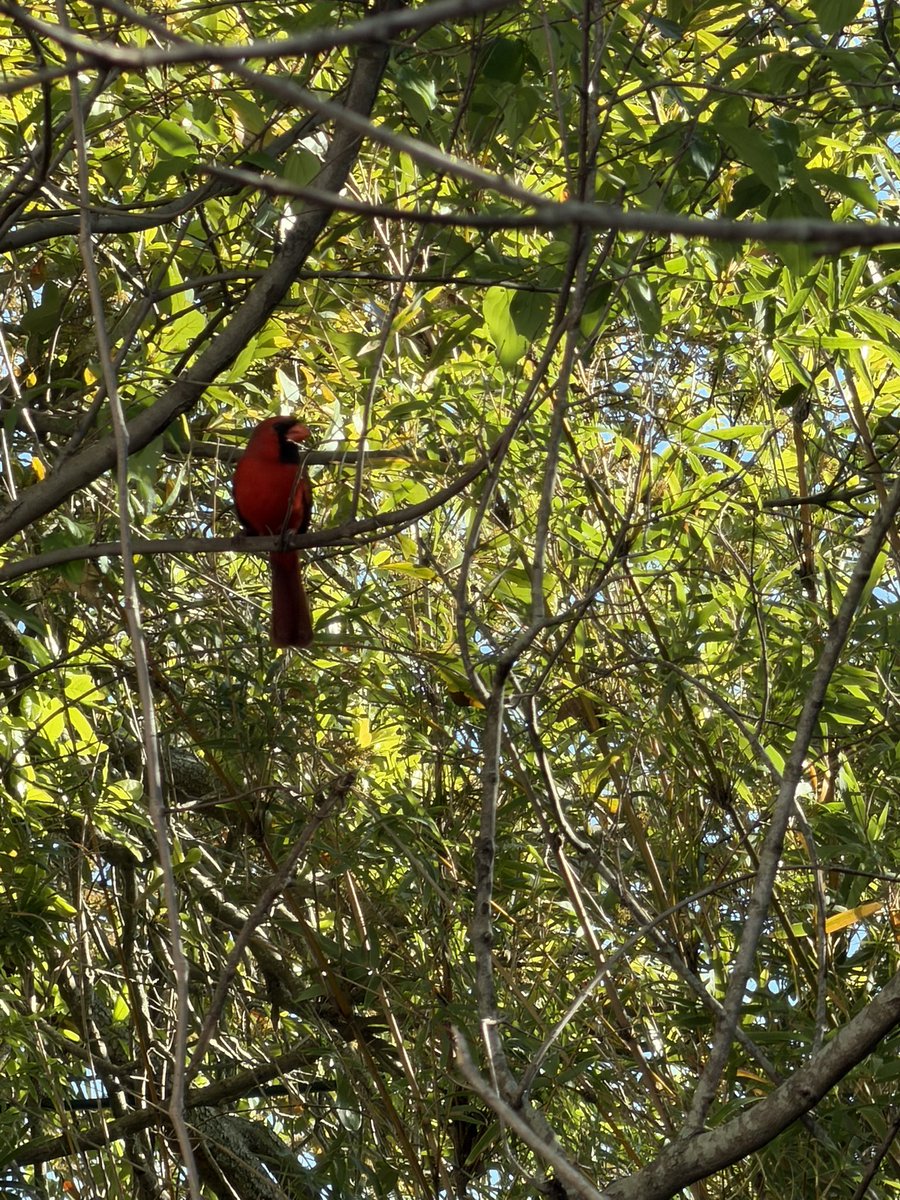 𝓛𝓾𝓬 tweet media