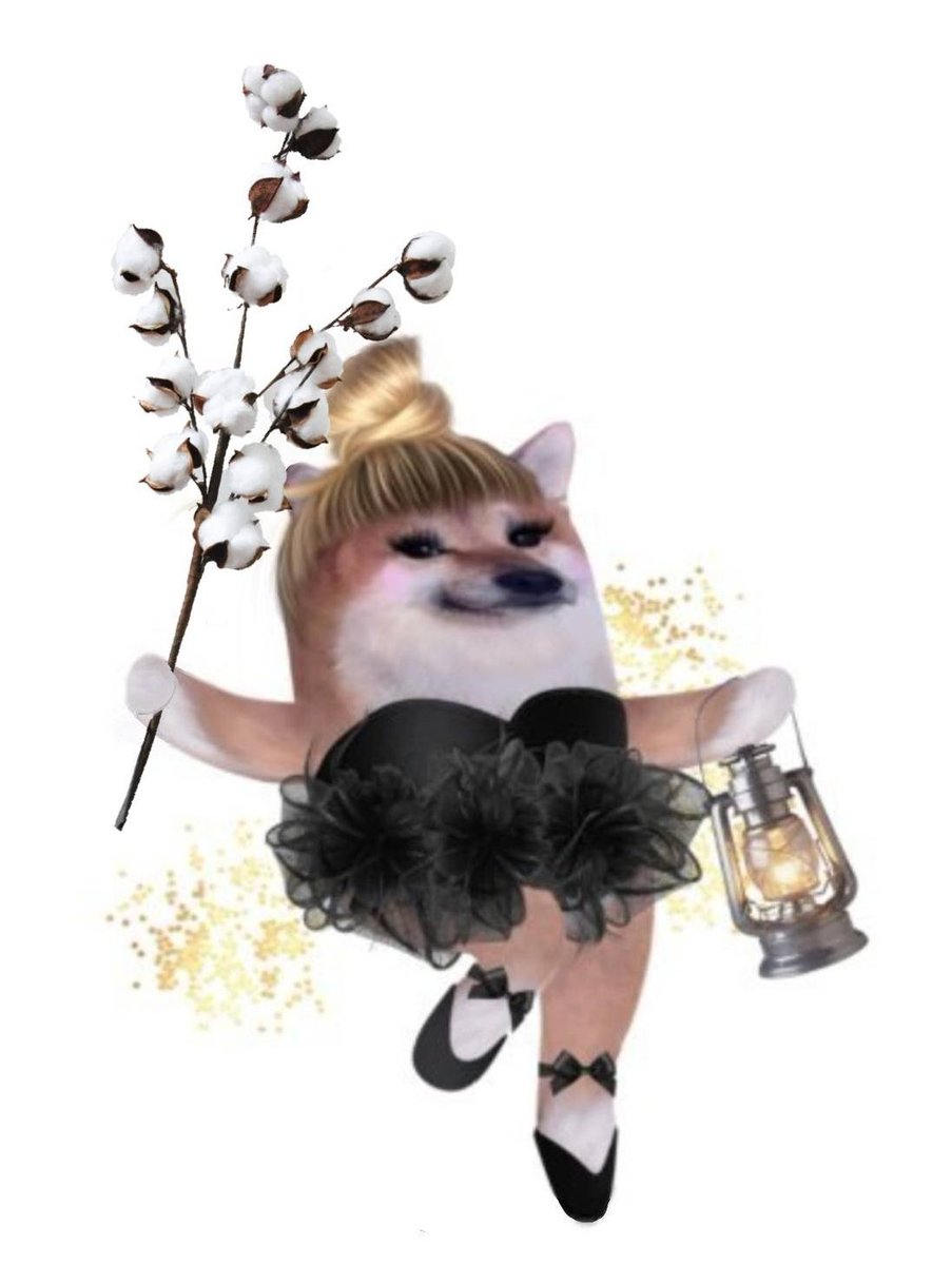 Gryn ✌ tweet media