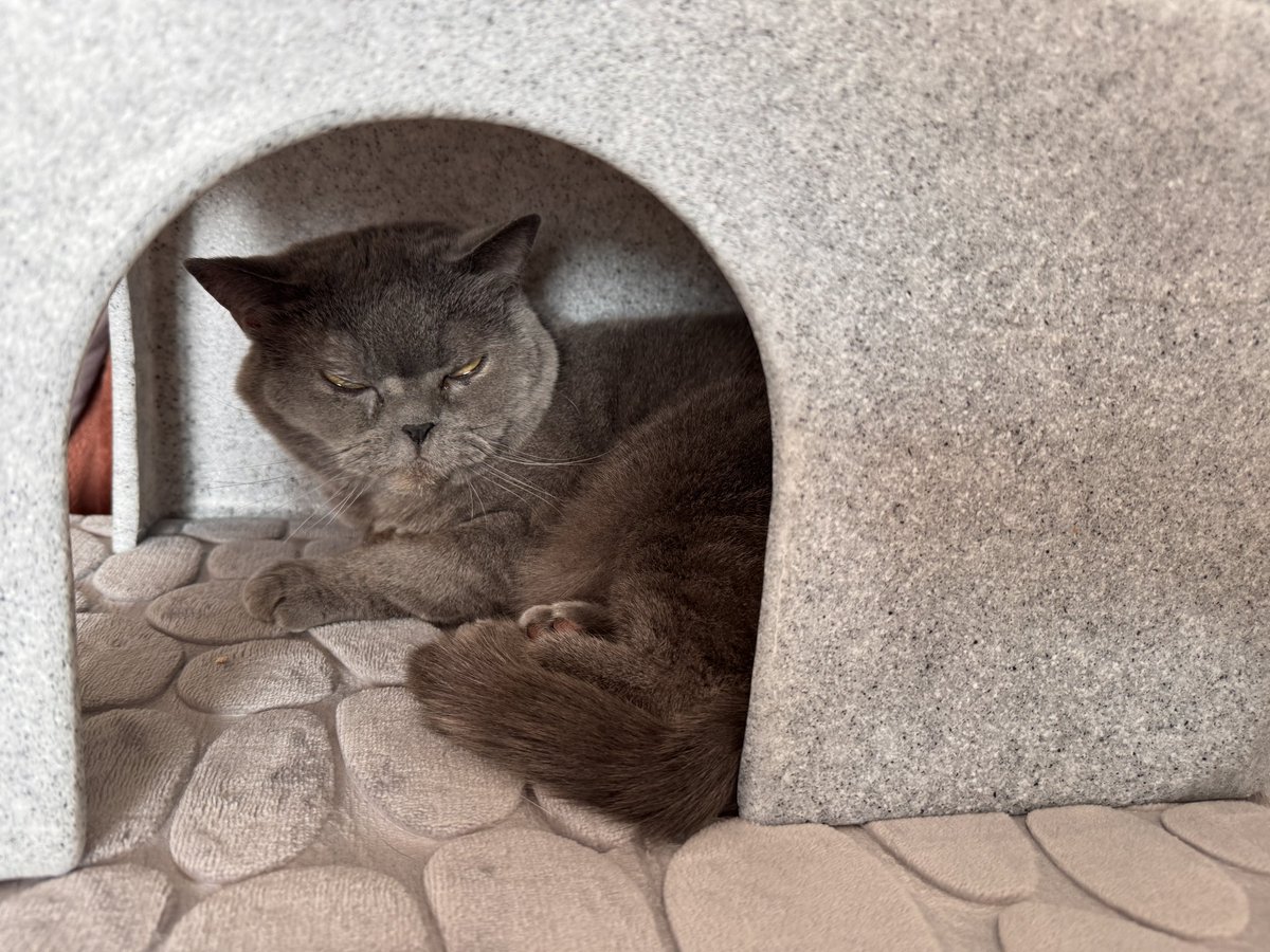 Dolly and Tali tweet media