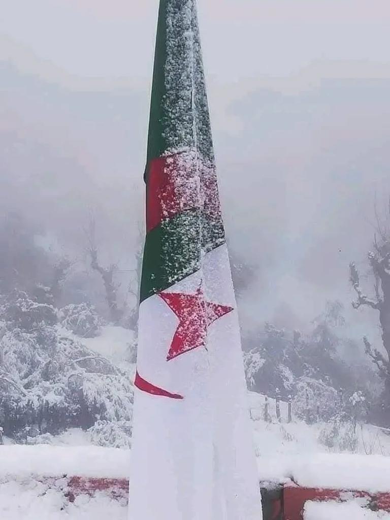 نـِِـِـآئلُـِـِِـِِِـِِـِـة 🇩🇿 tweet media