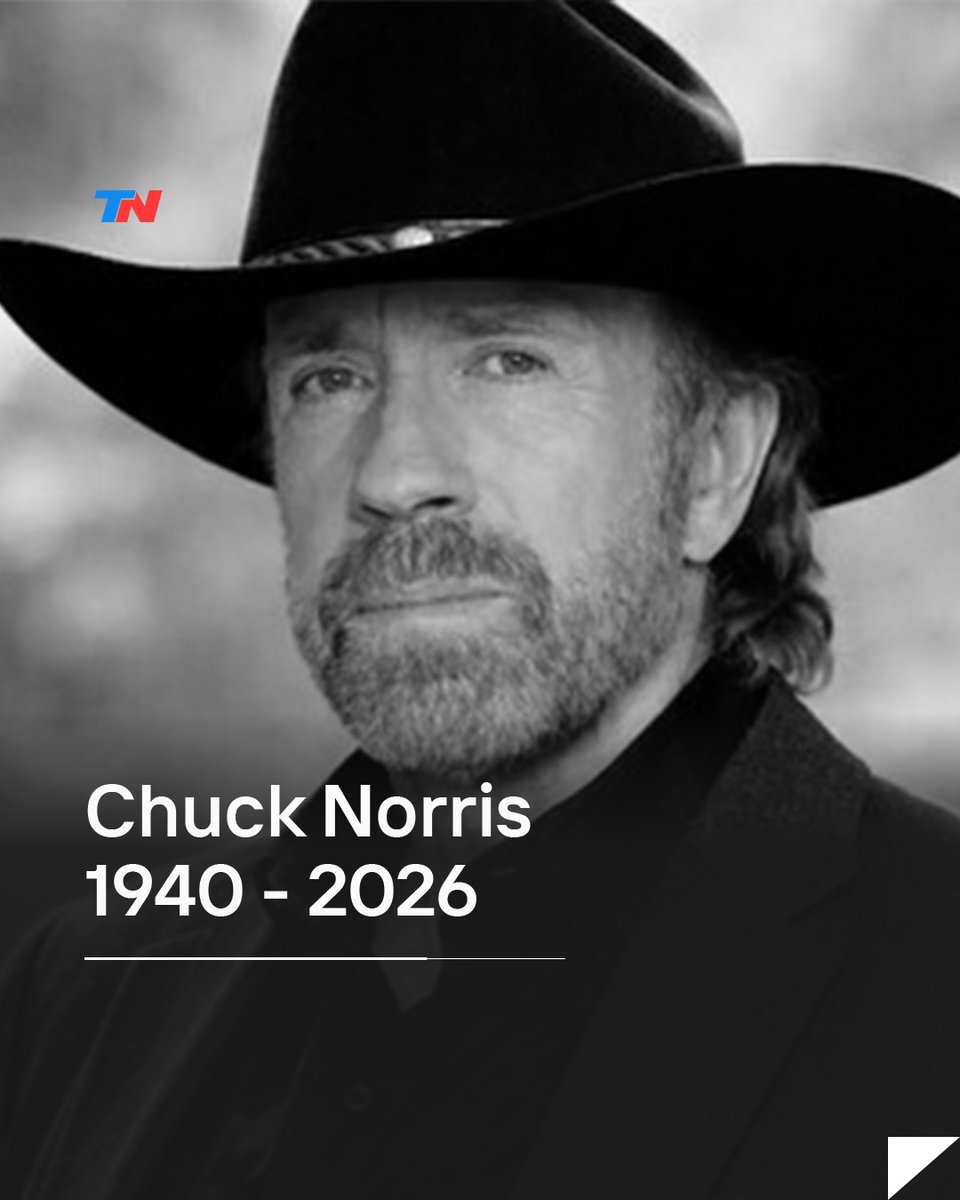 TN - Todo Noticias tweet media