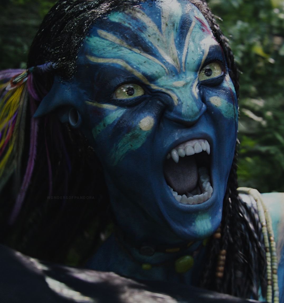 ︎ ︎ ︎ ︎ ҂ .; 𝘁𝗵𝗲 𝐓𝙸𝙶𝚁͟𝙴͟𝚂͟𝚂͟。͟ tweet media