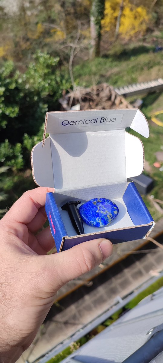 ✨Mikrobenkraft🌱 tweet media