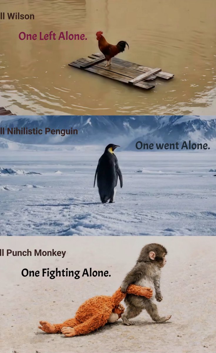 Qubitist tweet media