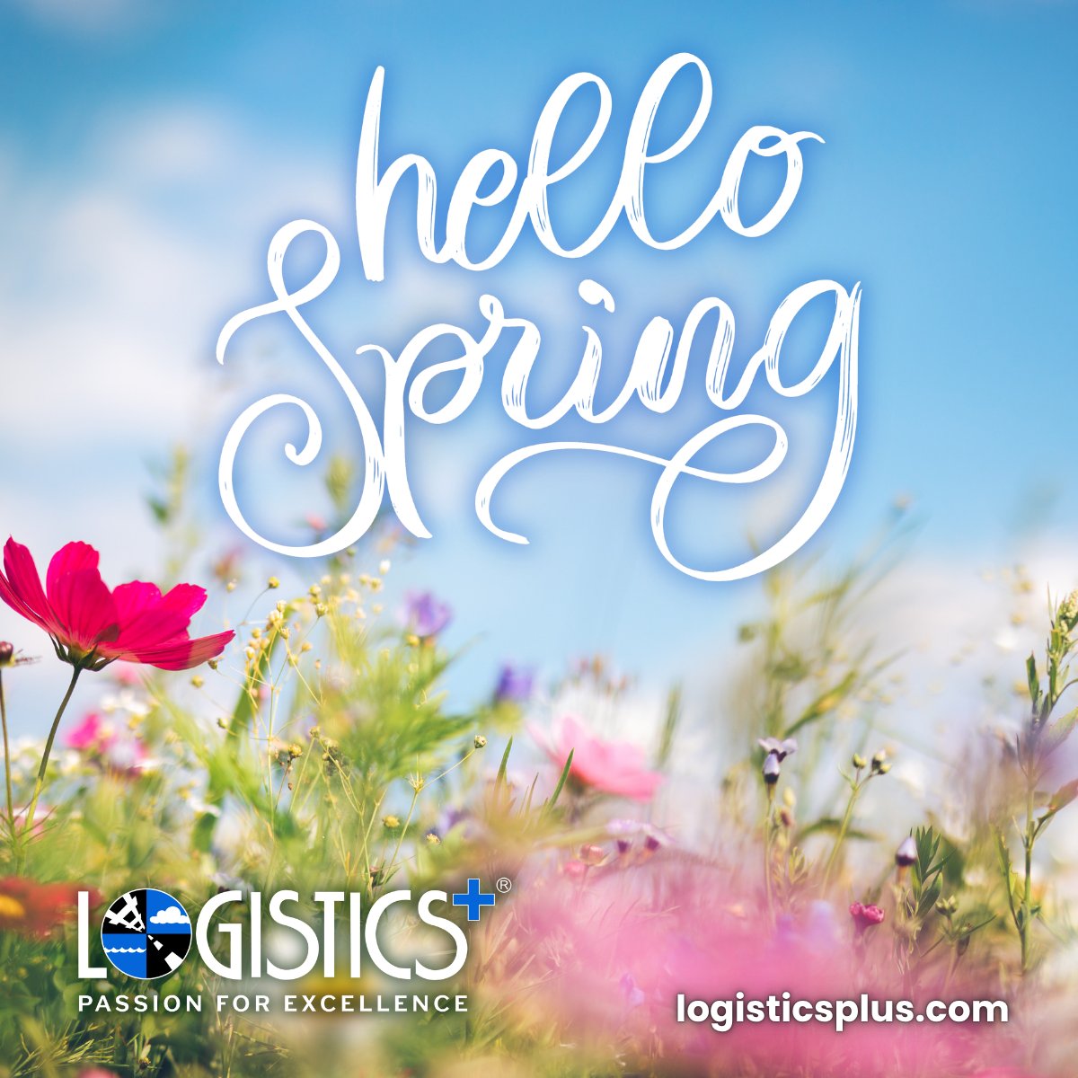 Logistics Plus Inc. tweet media